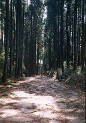 西坂の石畳です