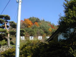 桑原城跡