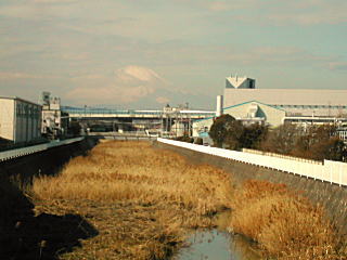 南湖の左富士見えました